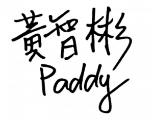 文章圖片
